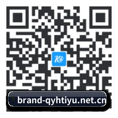 HarmonyOS NEXT 适配版 二维码